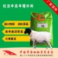 羔羊精料补充料-羔羊开口料 羊羔颗粒料 小羊精补料 羔羊饲料